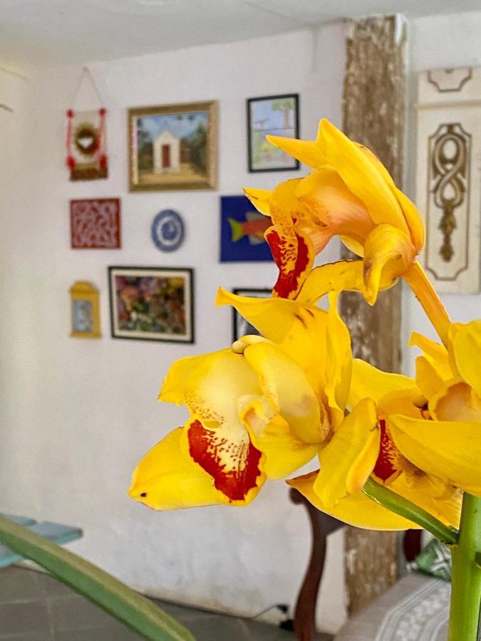 Hostel Dona Generoza Araquari Eksteriør bilde